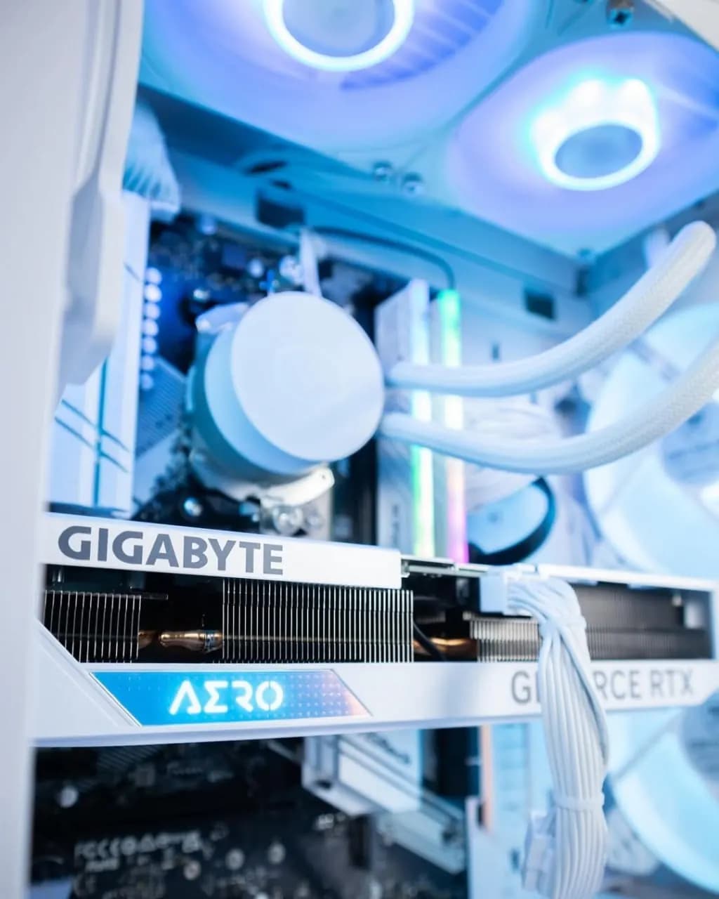 Ryzen 5 5600 · Gigabyte RTX 5060 Ti